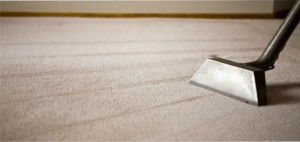The Difference Between Dry Cleaning and Steam Cleaning Carpet Floors