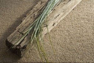 Green Carpet Options For Your Home