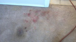 How to Clean Makeup Stains From Carpet